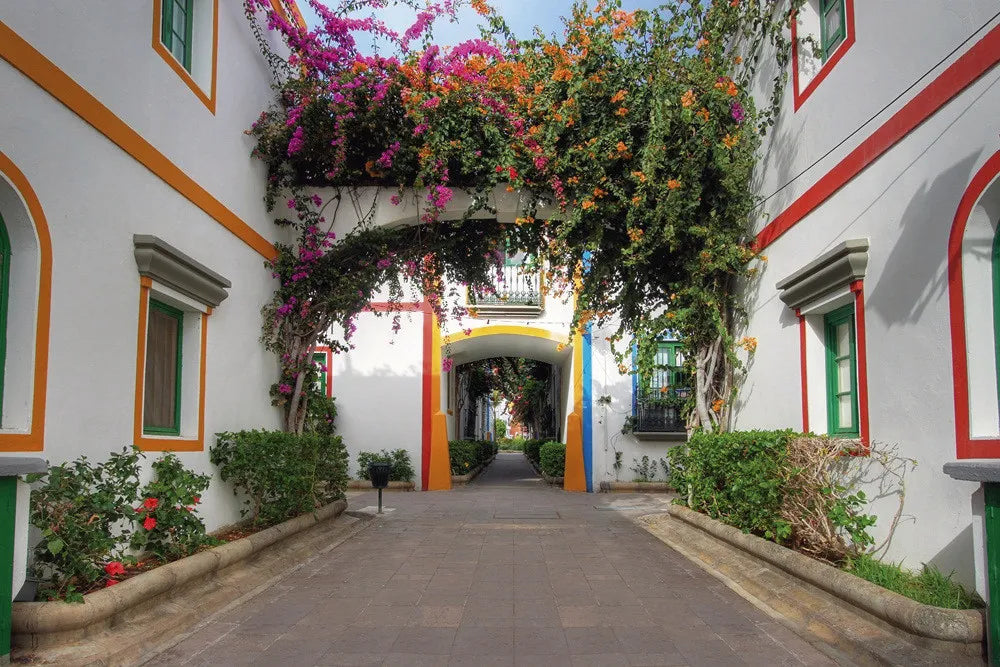 Puerto de Mogan