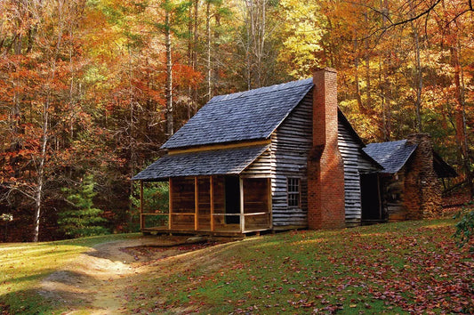 House in the woods