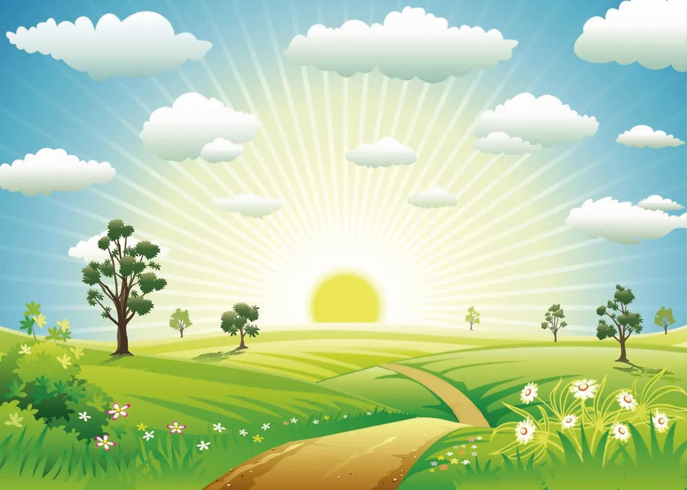 Summer meadow