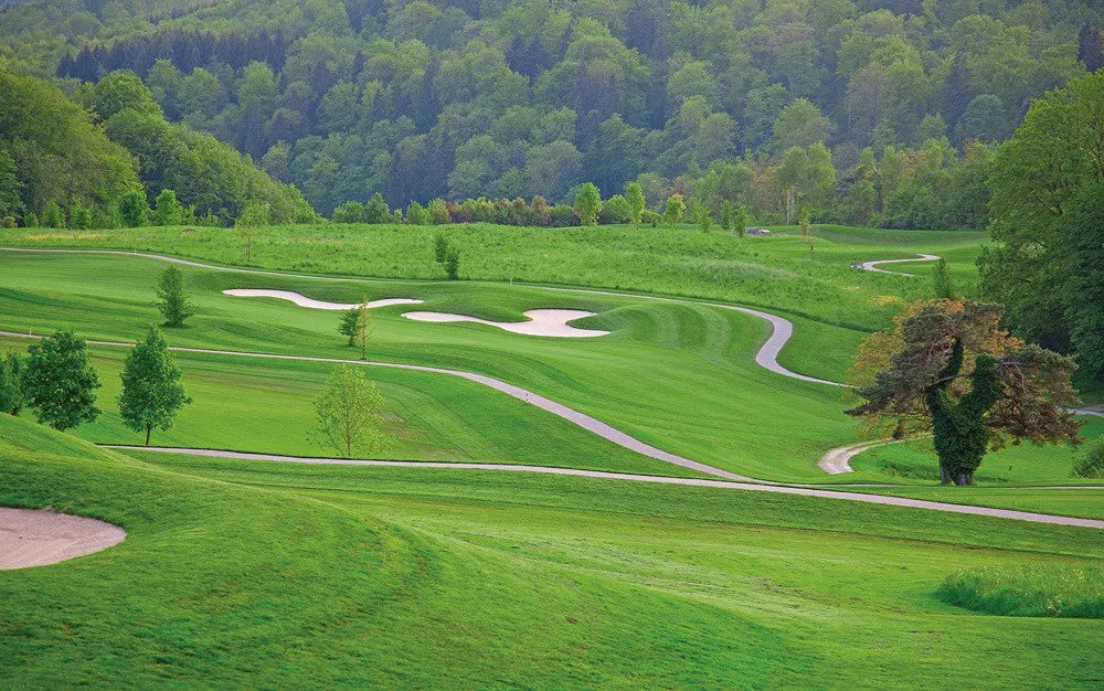 Golf field