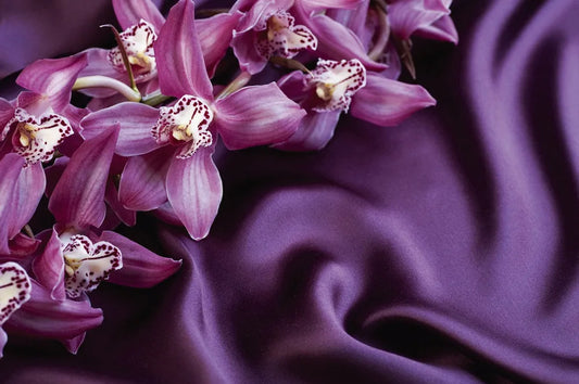 Orchid