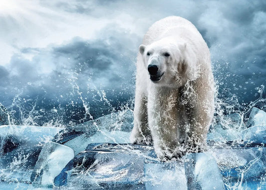 Polar beer