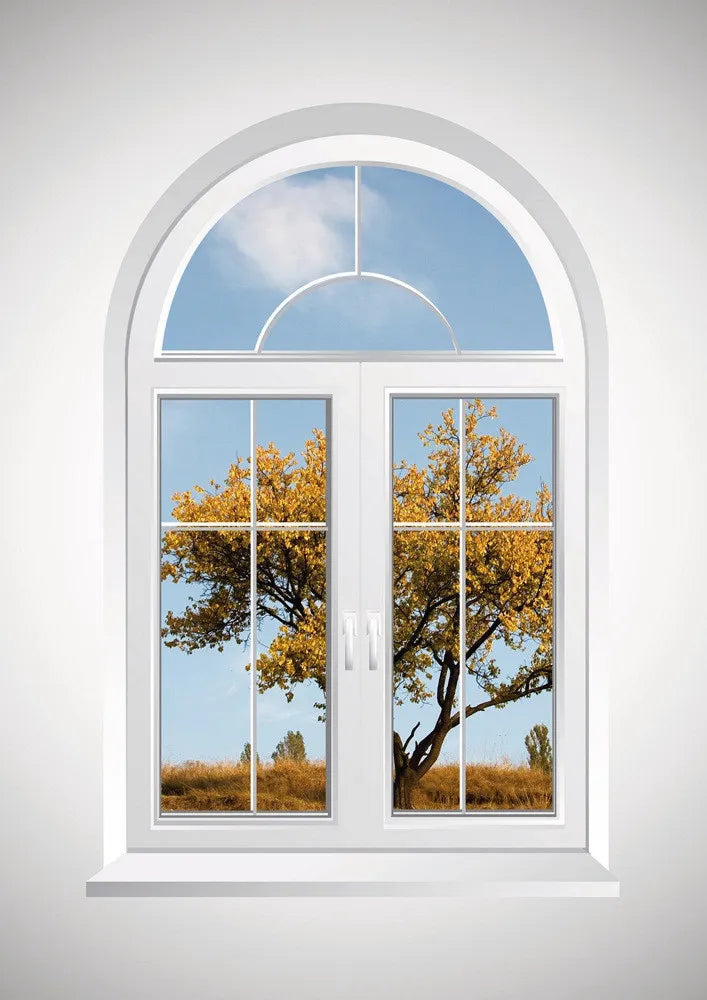 Window