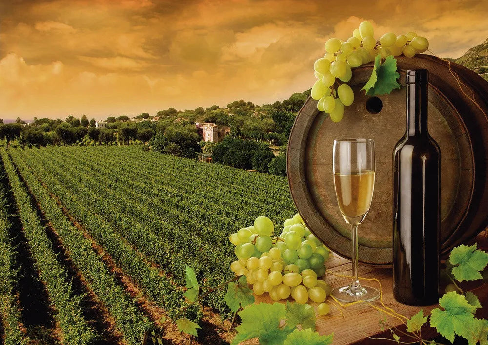 Vineyard
