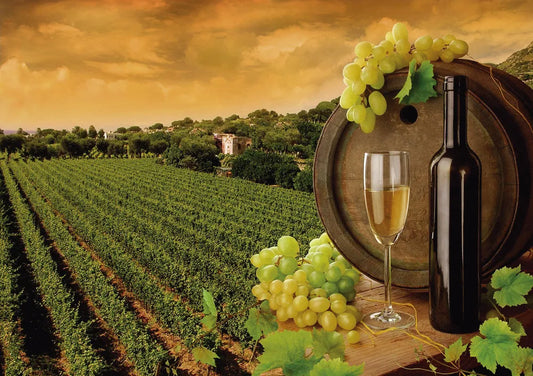 Vineyard
