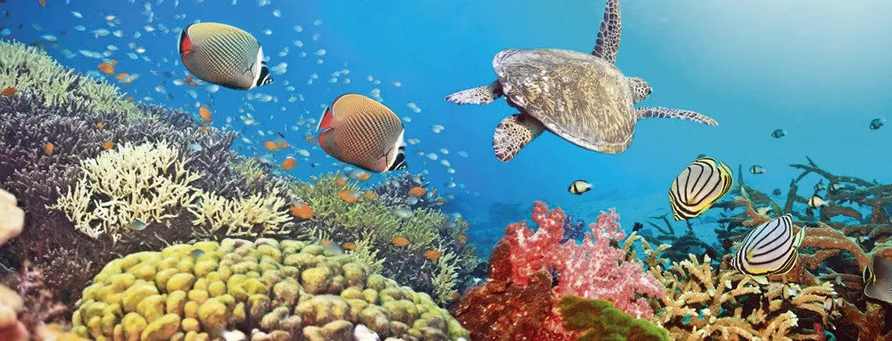 Underwater World