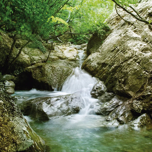 Waterfall in the woods