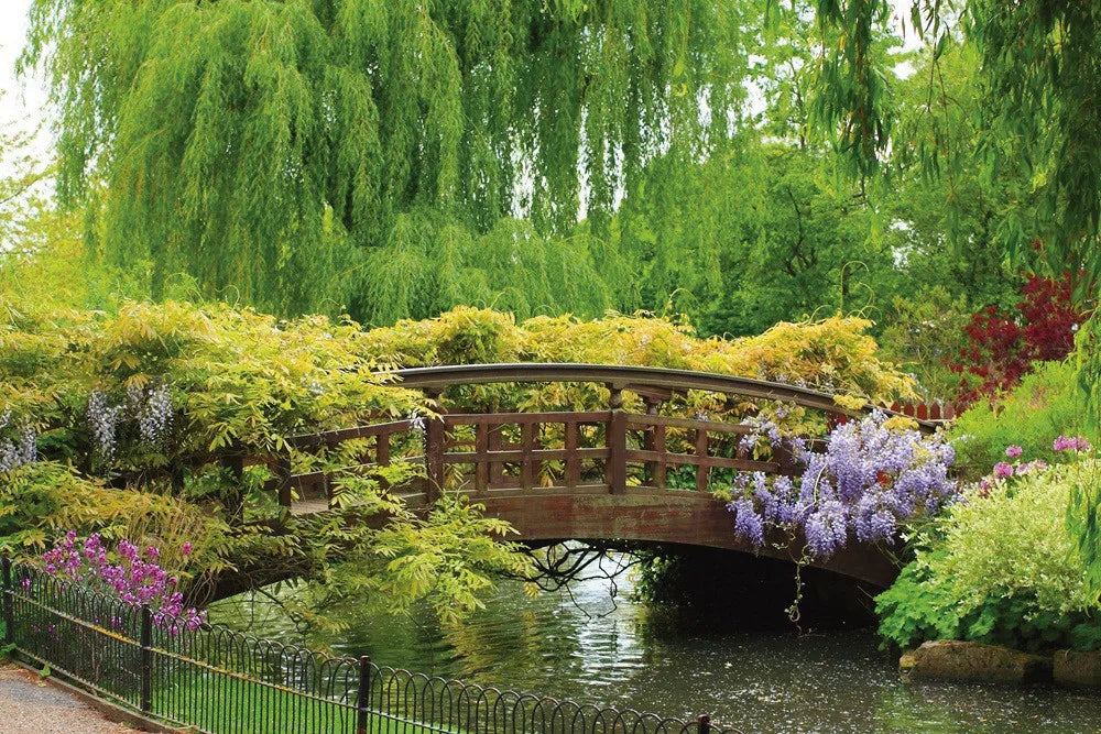 Garden in London