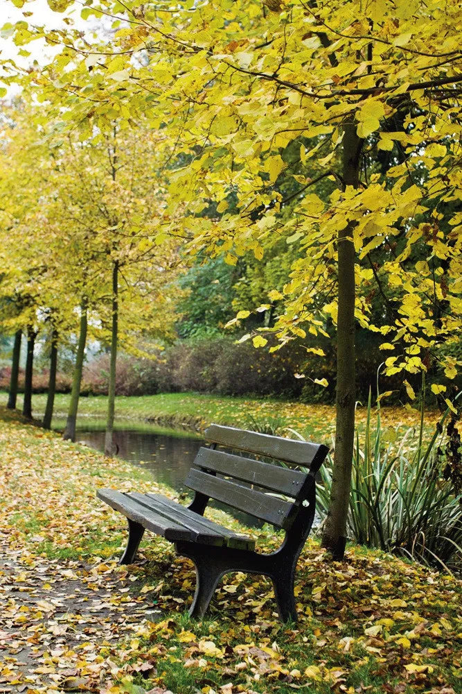 Park