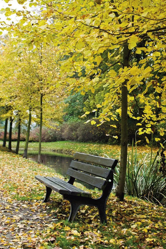 Park