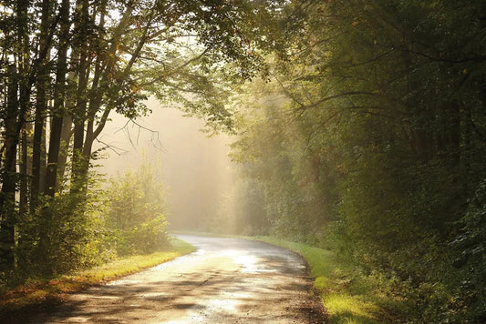 Walk