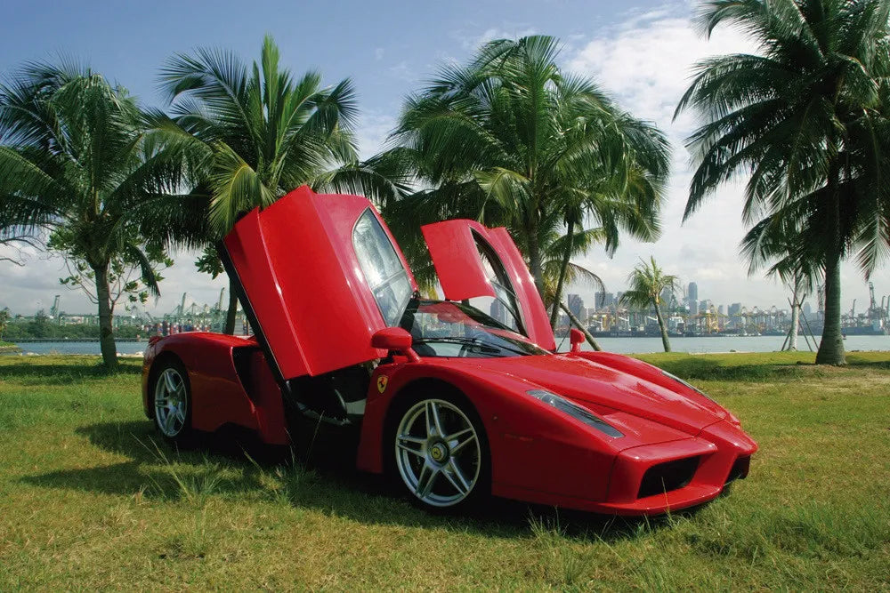 Red Ferrari Enzo