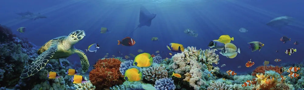 Underwater World