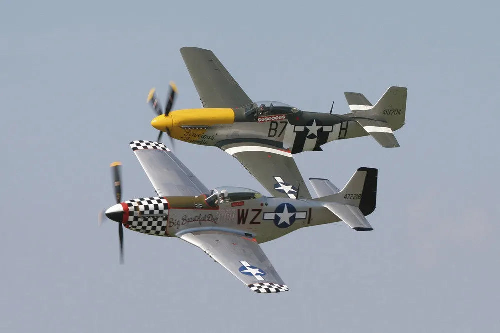 Fighters