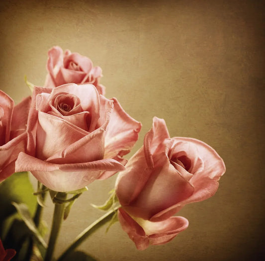Roses