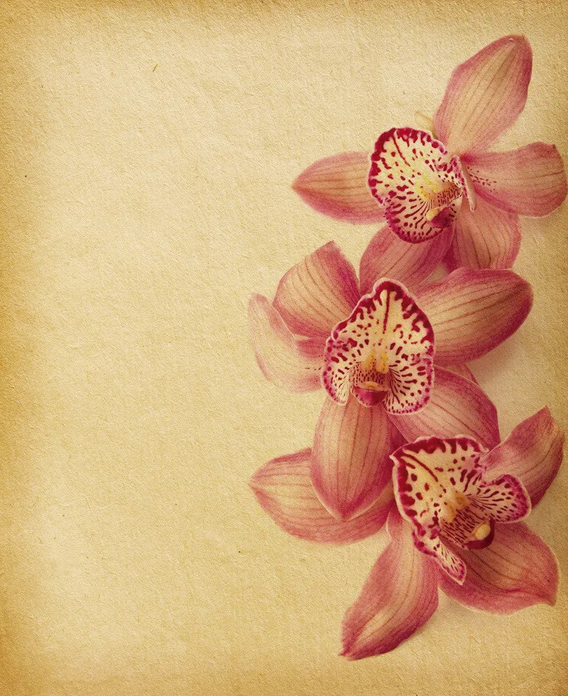 Orchid