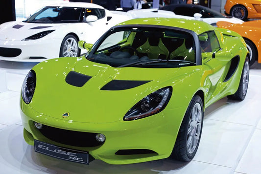 Lotus