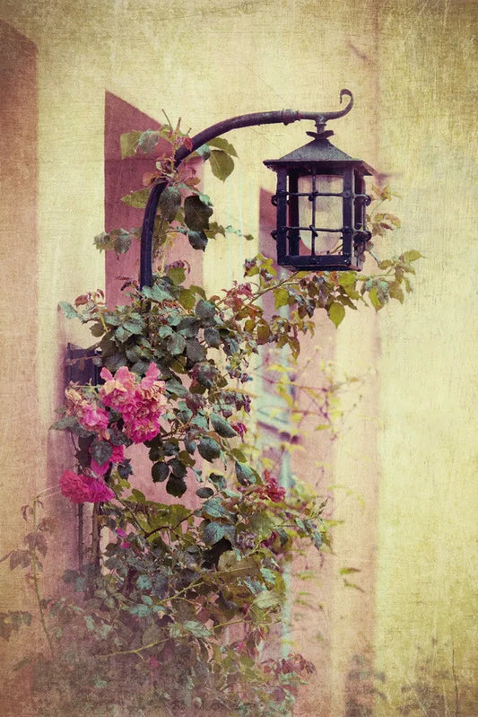 Lantern