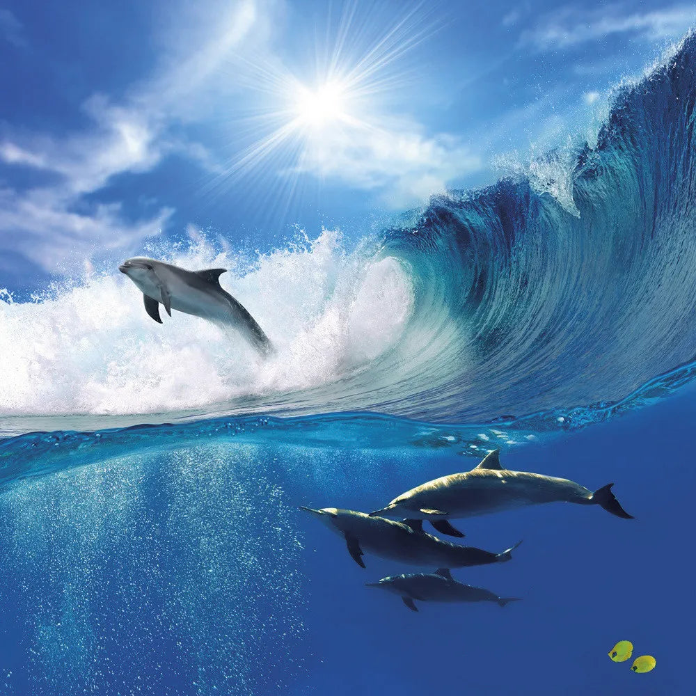 Dolphins