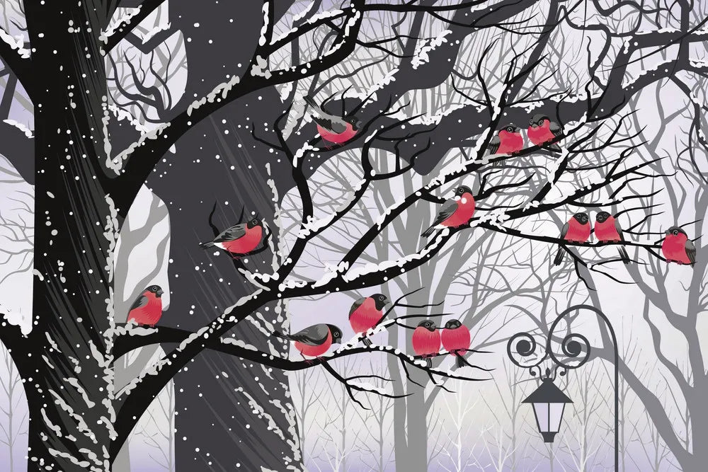 Birds