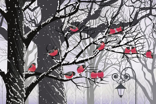 Birds