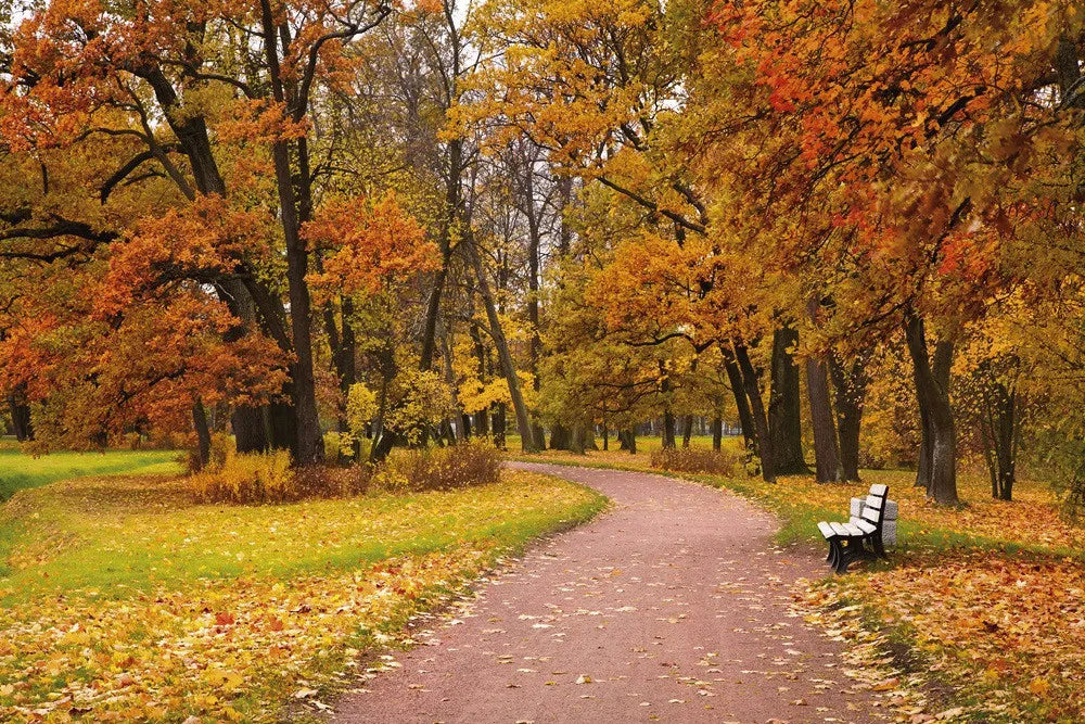 Autumn