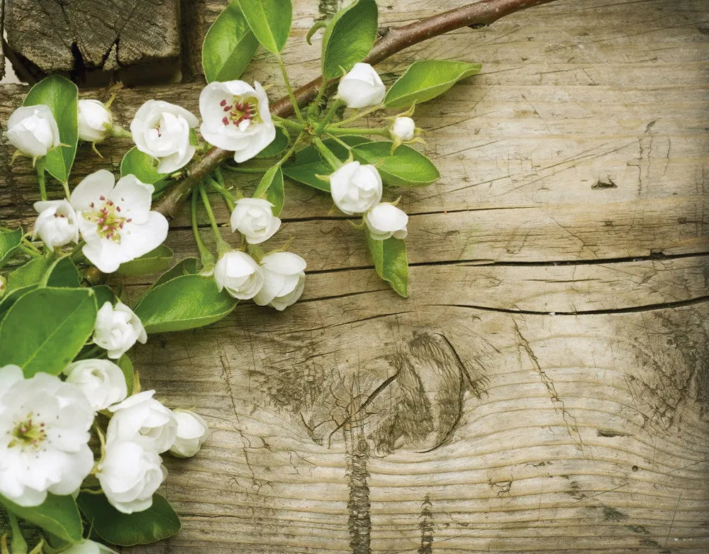 Blossom
