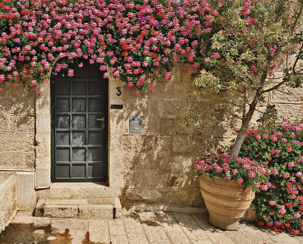 Doors