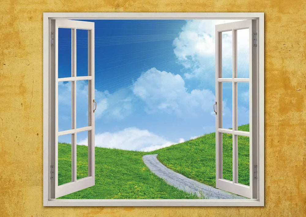 Window