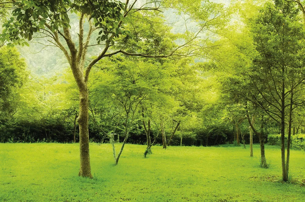 Park