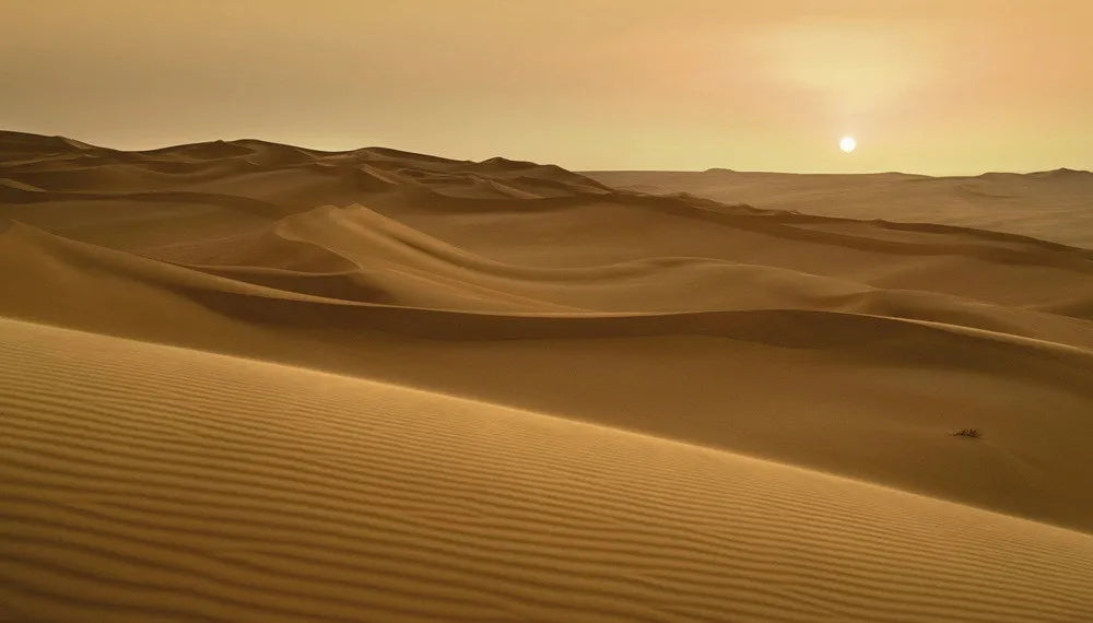 Desert
