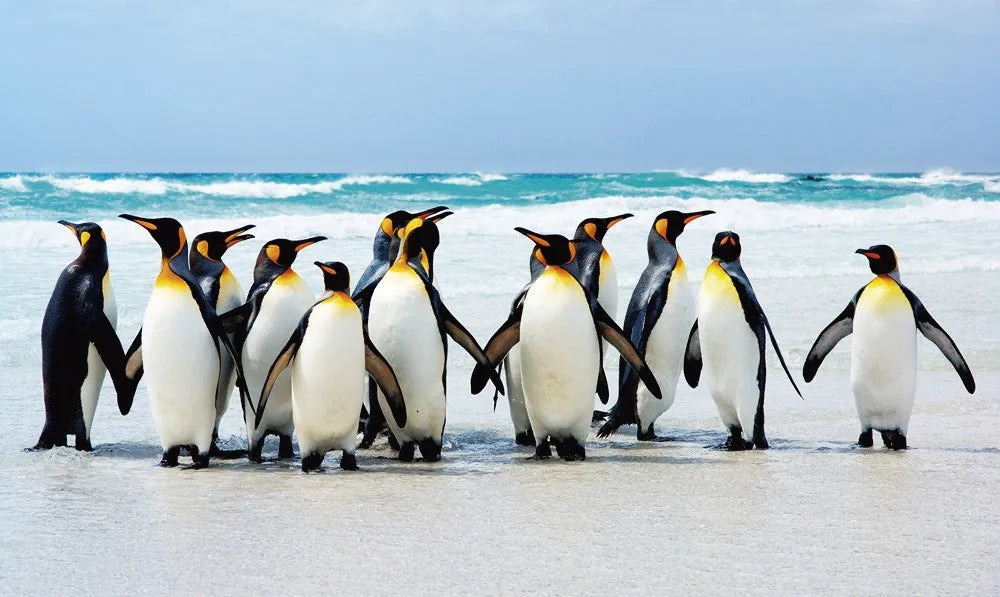 Penguins