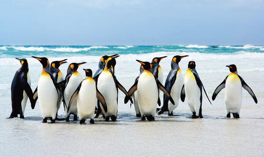 Penguins
