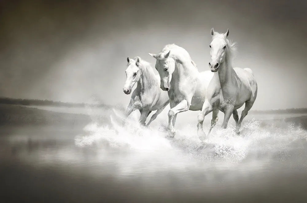 Horses