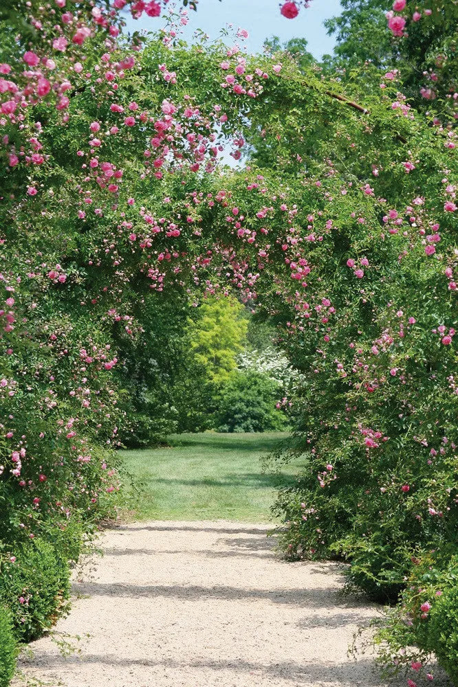 Flower arch