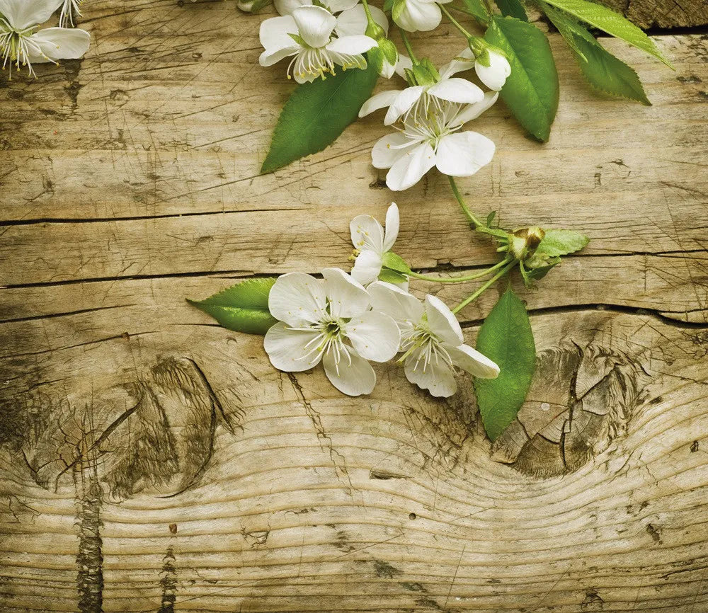 Blossom