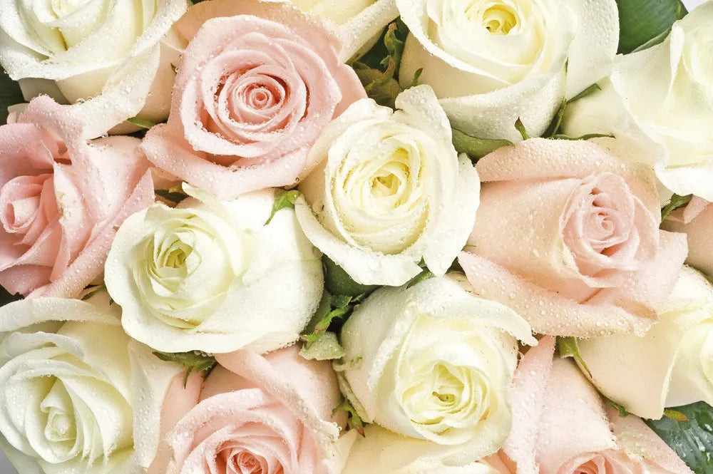 Bunch of Roses