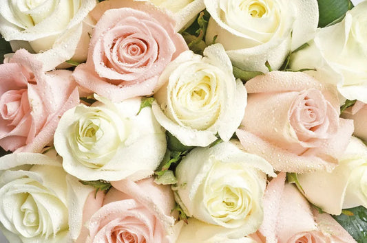 Bunch of Roses
