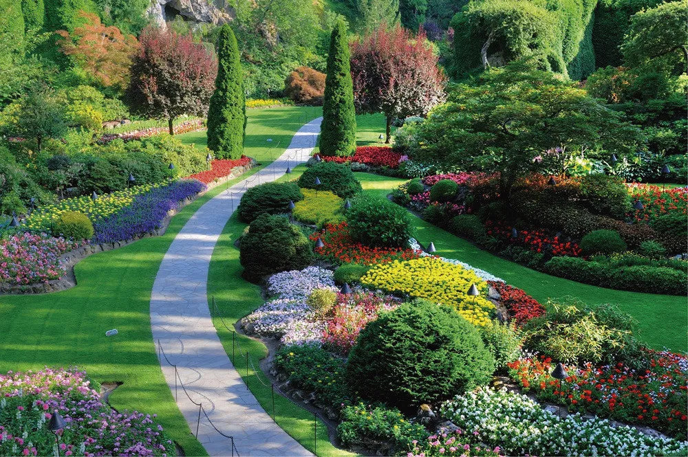 Road in the garden
