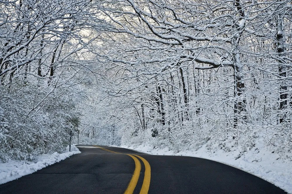 Winter