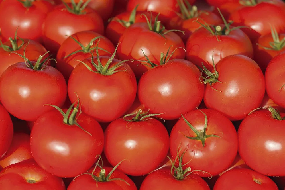 Tomatoes