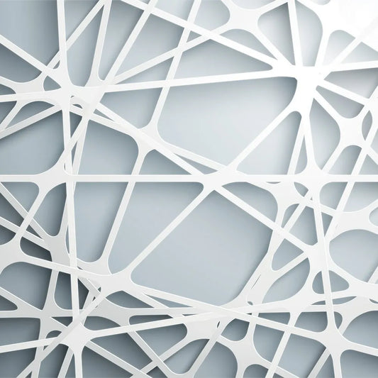 Web
