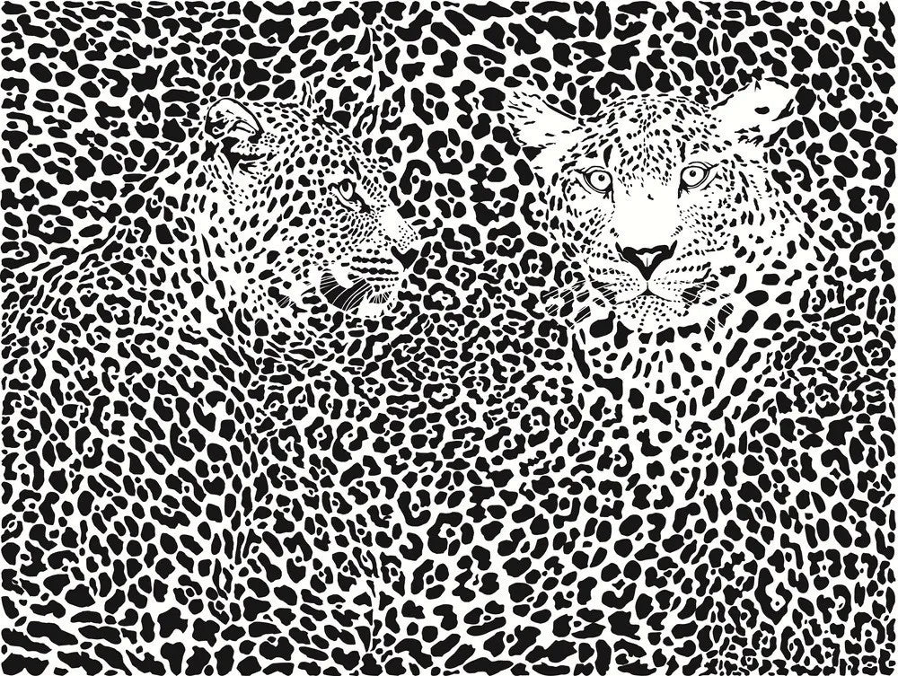 Leopards